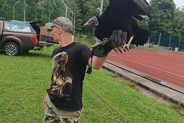 Obrázek č.2